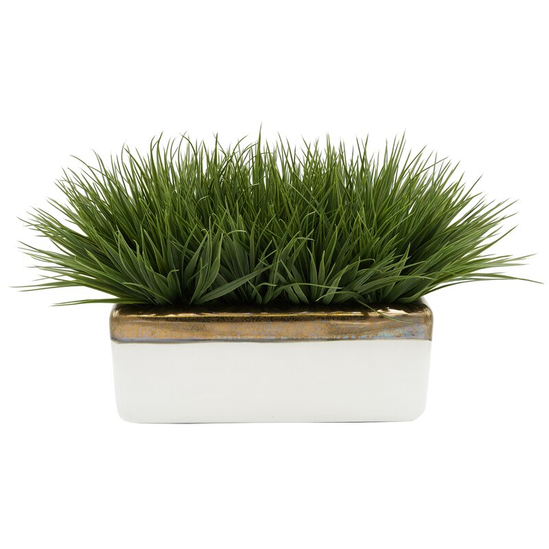 Gracie Oaks Artificial Onion Grass in Planter & Reviews | Wayfair.ca
